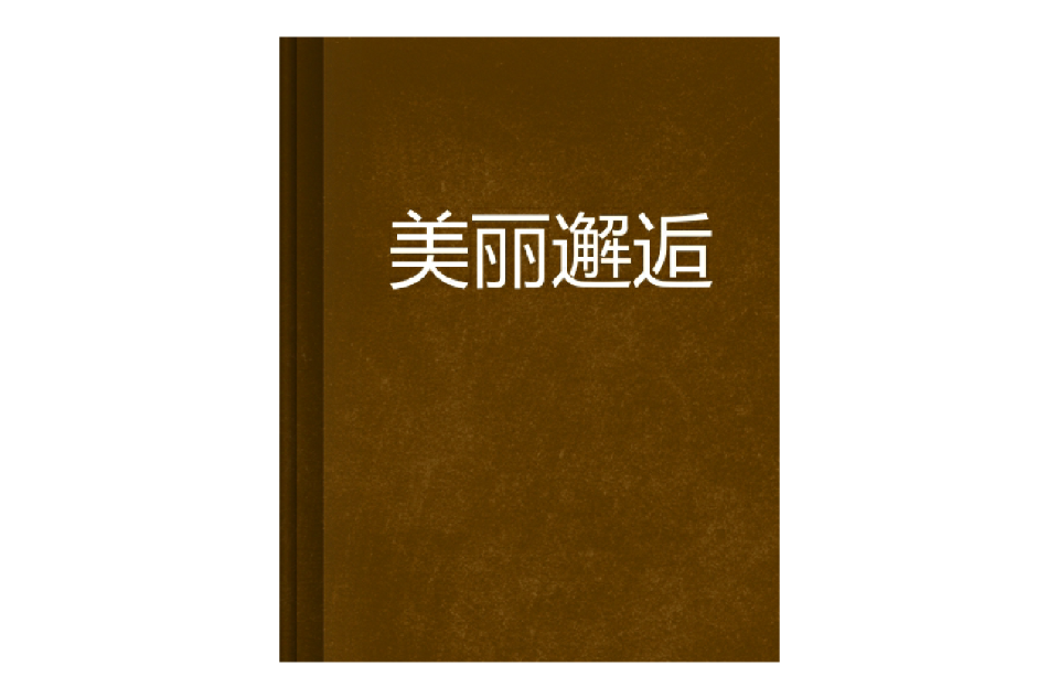 美麗邂逅(言情小說)