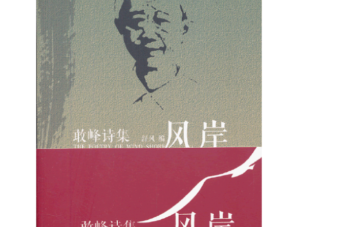 風岸(2013年中國華僑出版社出版的圖書)