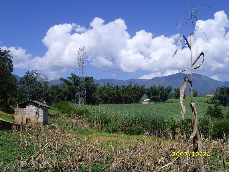 南東丫口自然村