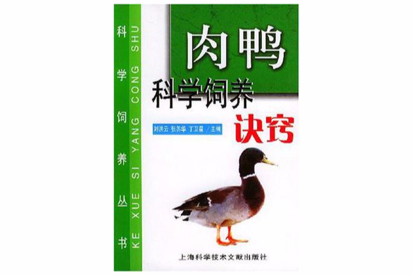 肉鴨科學飼養訣竅