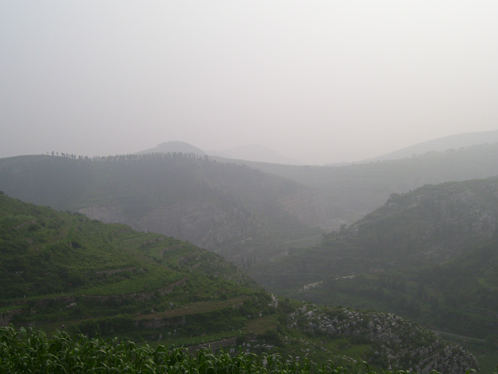 淄川土峪村