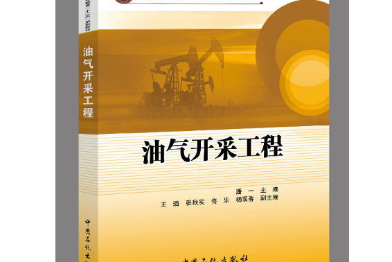 油氣開採工程(2014年中國石化出版社有限公司出版的圖書)