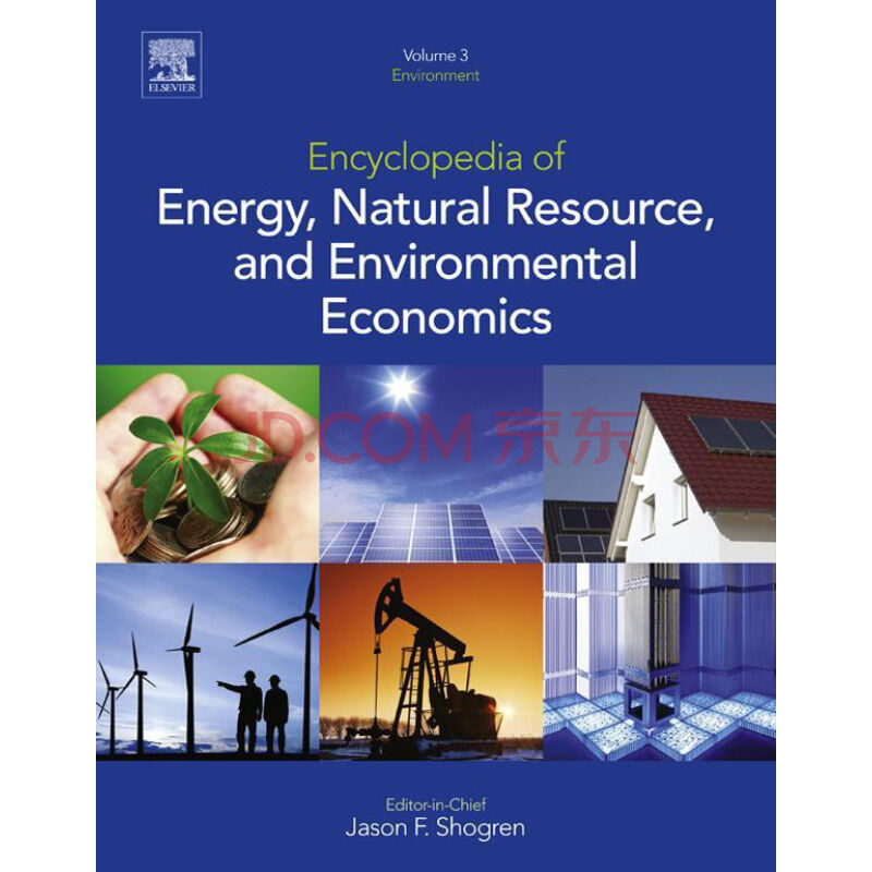 Energy Economics