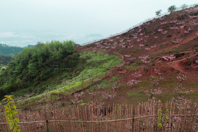 黃泥村(湖北省通城縣關刀鎮黃泥村)