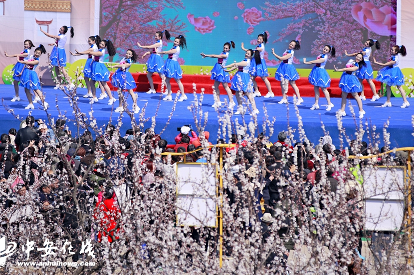 相山區黃里杏花文化旅遊節盛裝開幕