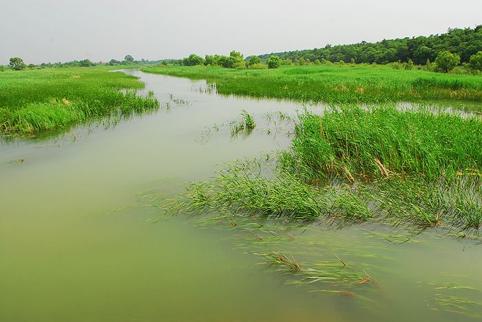 民權黃河故道國家生態公園