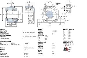 SKF