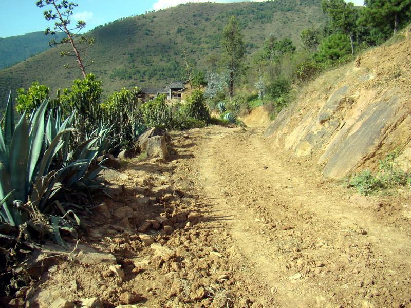 秧田坡自然村