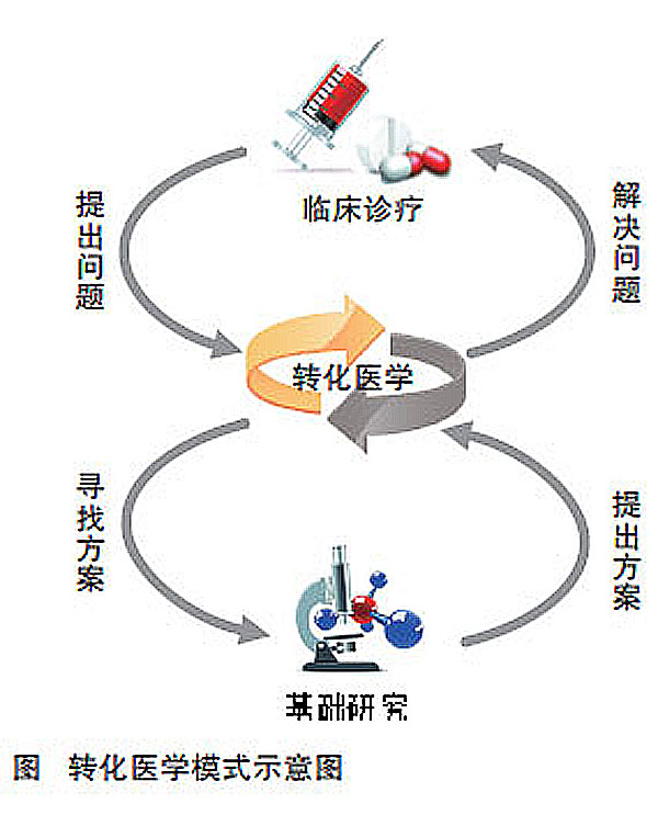 轉化醫學