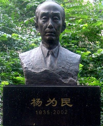 楊為民(北京航空航天大學教授)