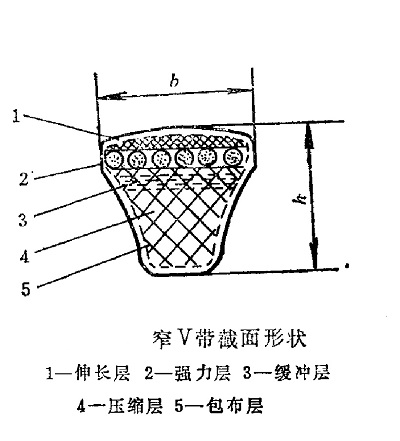 窄V帶結構圖