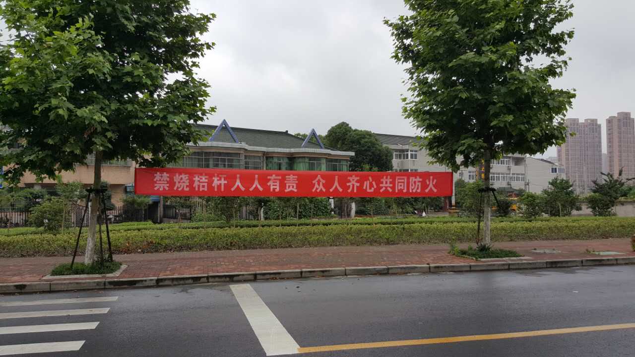 周家巷村