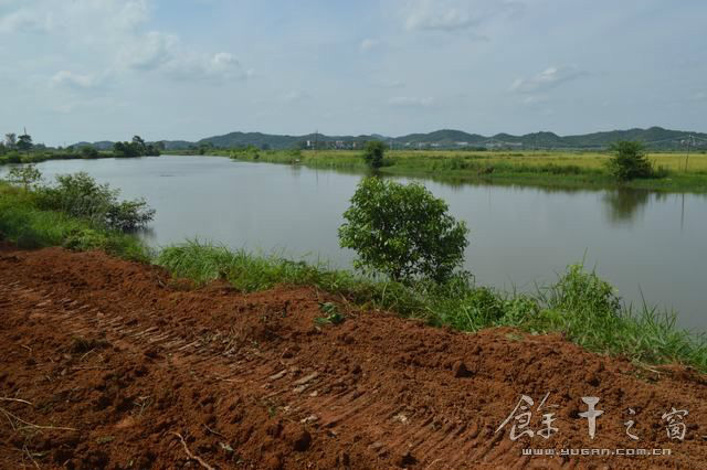 水田河流相間（黃金埠鎮塘背村）