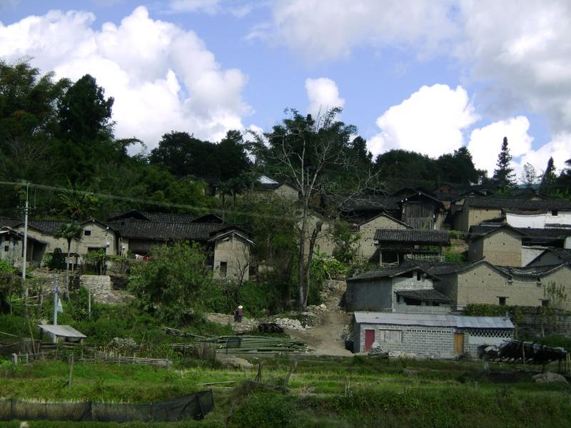 劉家寨村(新平縣戛灑鎮冬瓜林村民委員會下轄村)