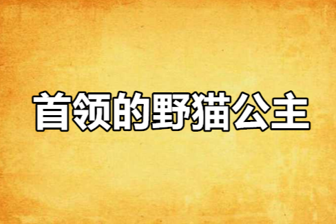 首領的野貓公主