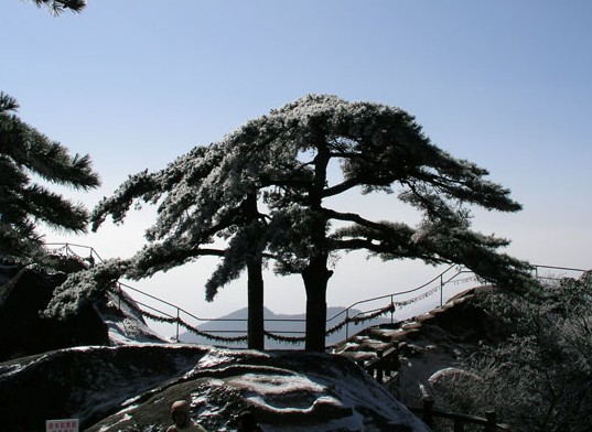 黃山文殊台