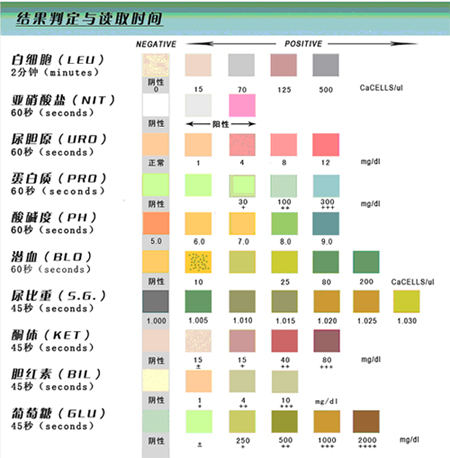 性別試紙