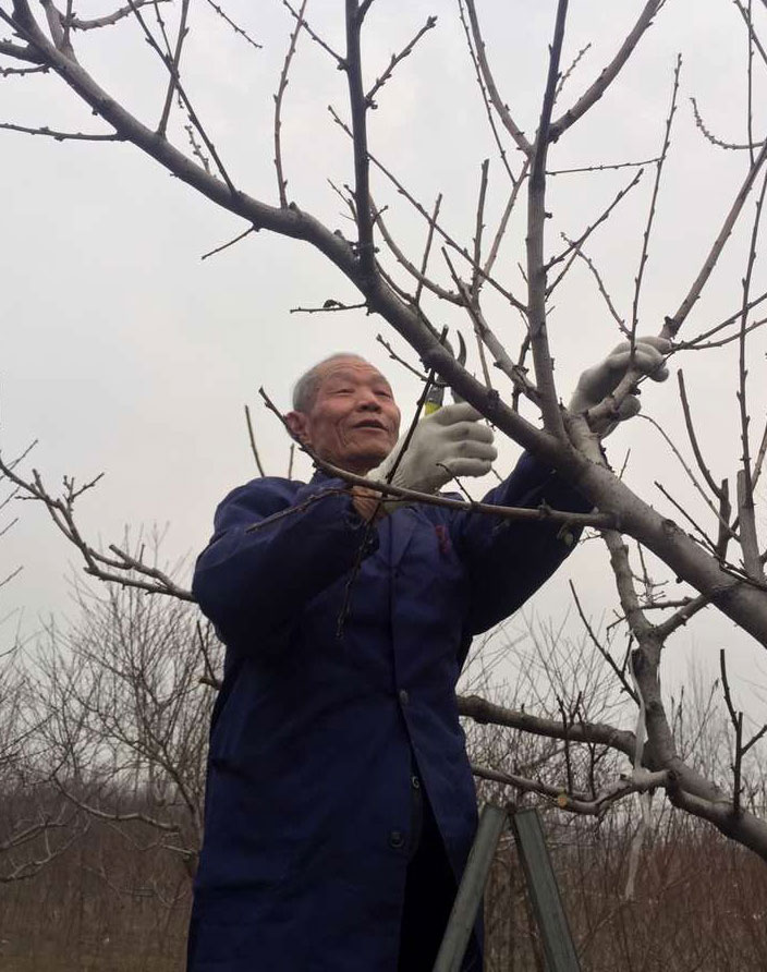 振山果園基地