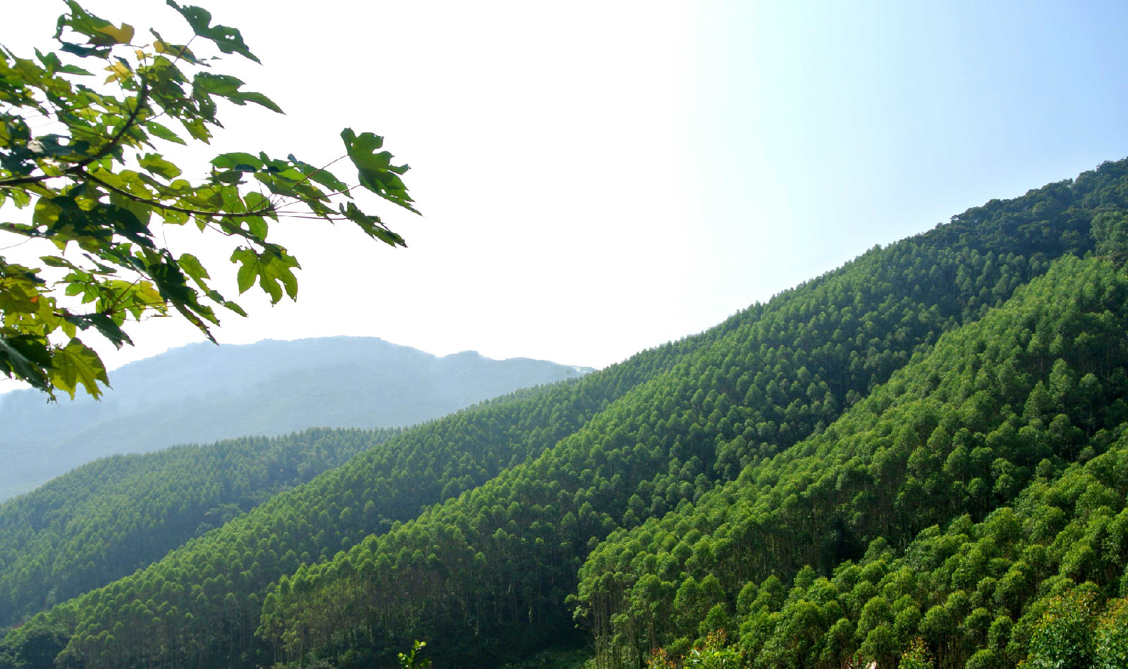 廣州市二龍山投資有限公司