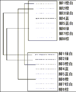 交叉網線