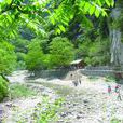 陝西樓觀台國家森林公園