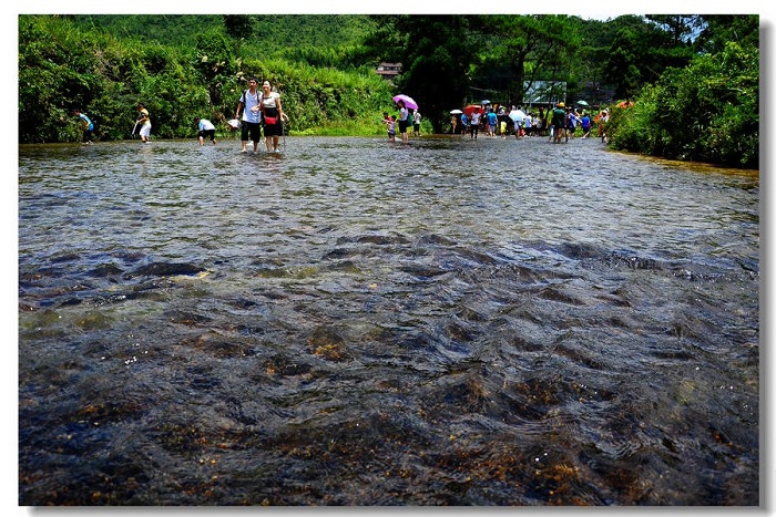 仙水洋