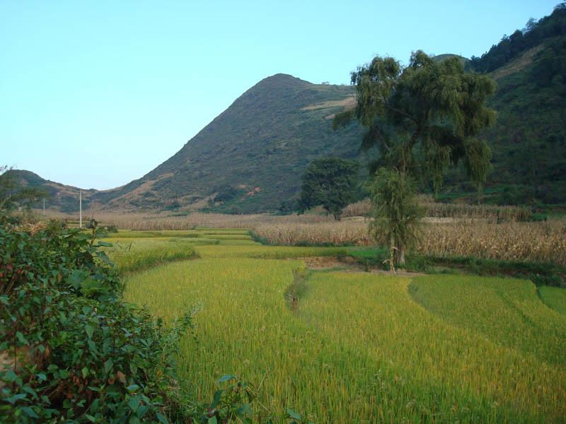 馬蚌自然村耕地面貌