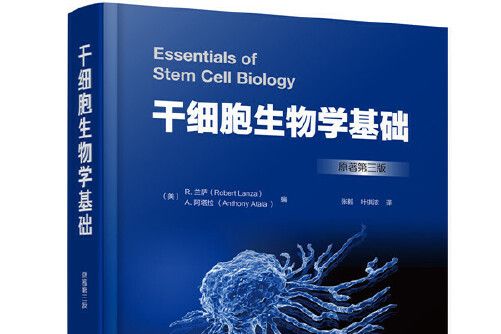 幹細胞生物學基礎