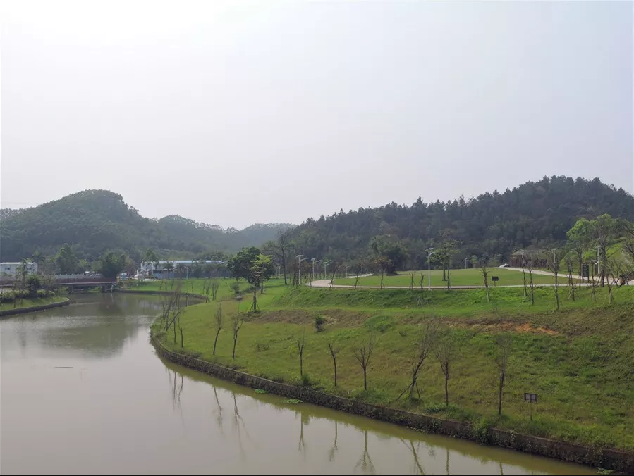 雲浮市國有水台林場