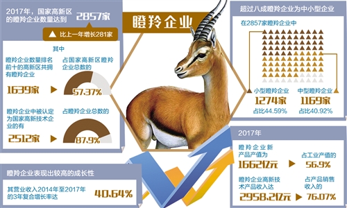 瞪羚企業