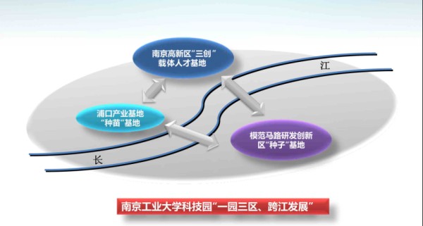 南京工業大學科技產業園公司組織架構