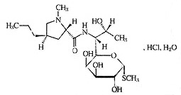 注射用鹽酸林可黴素