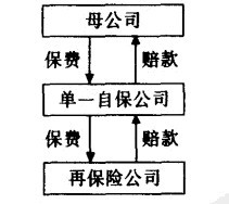 單一自保公司