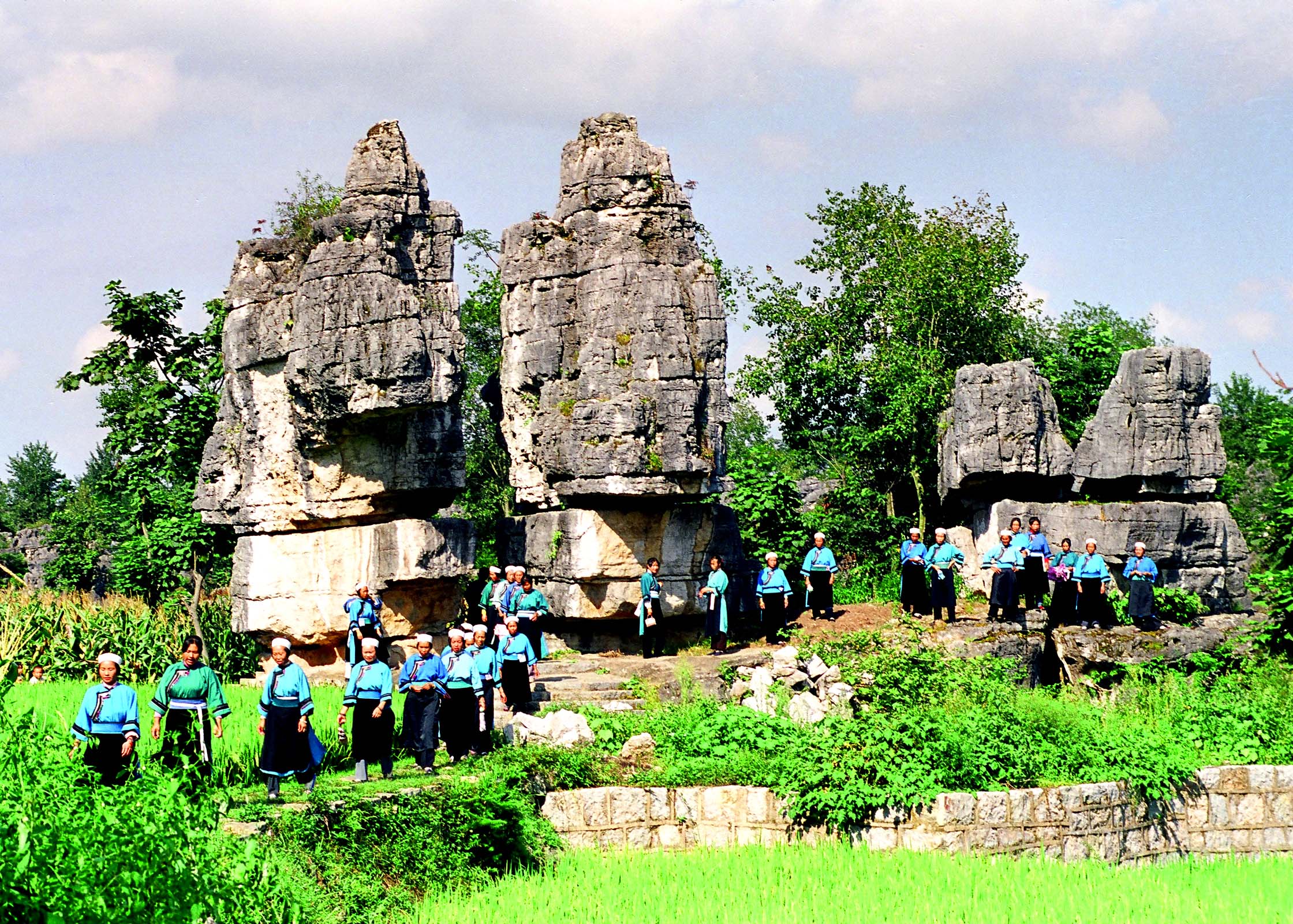 貴州九龍山國家森林公園