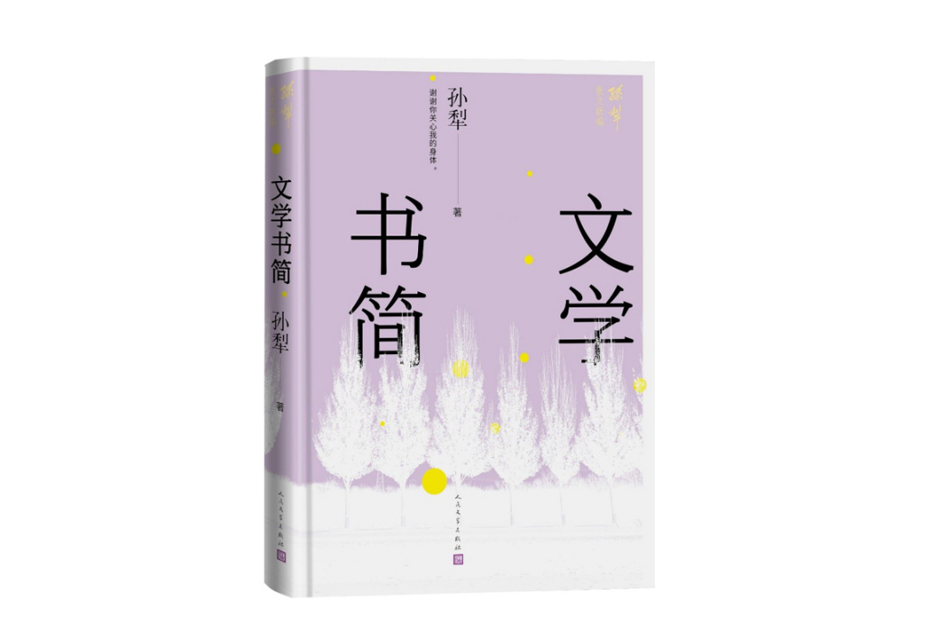 文學書簡(2024年人民文學出版社出版的圖書)