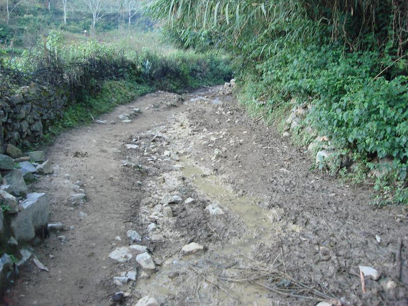 白龍井村通村道路