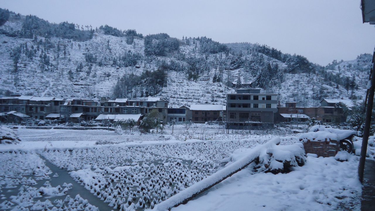 進馬江村