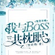 快穿攻略：我與boss共枕眠