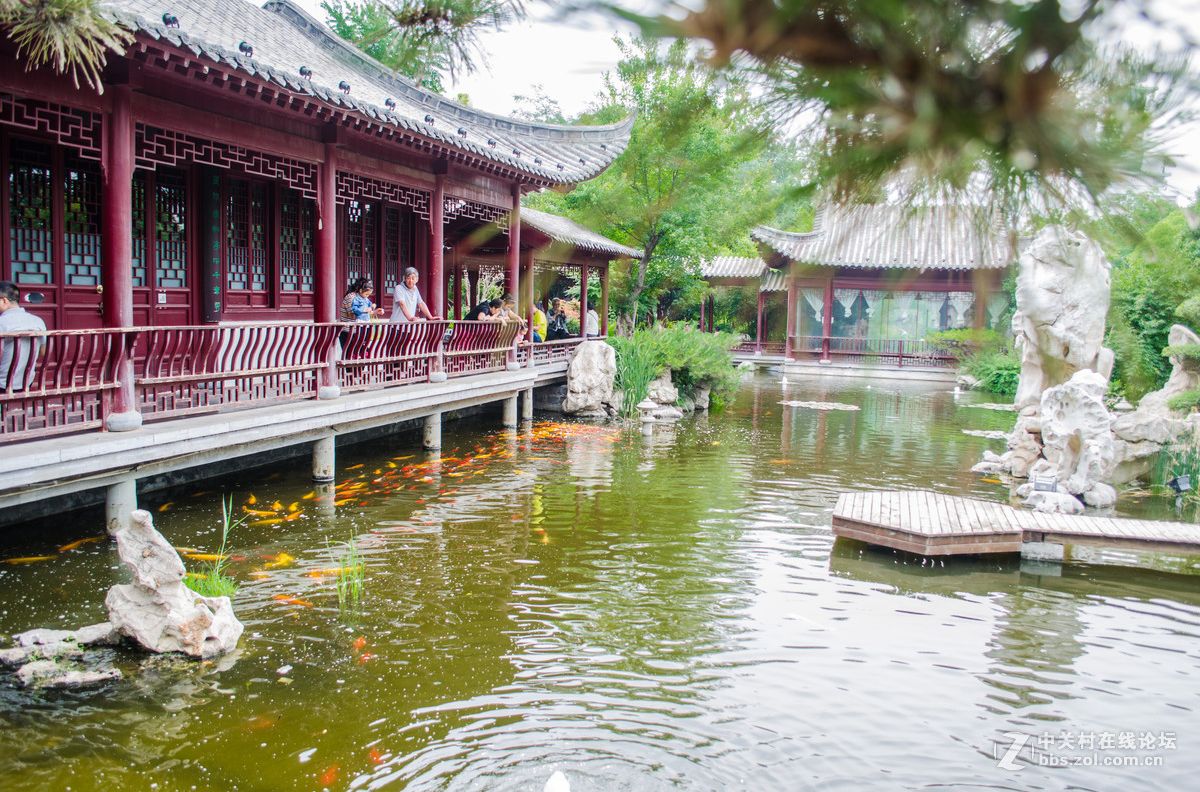 溪園(餐館簡介)