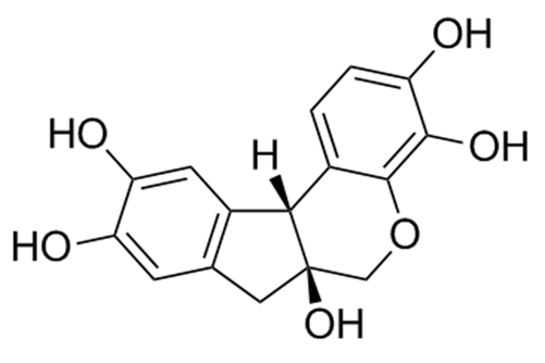 蘇木素(蘇木色素)