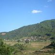 陰山自然村(雲南省昭通市彝良縣樹林鄉陰山自然村)