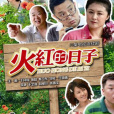 火紅的日子(2012年付百良執導的電視劇)