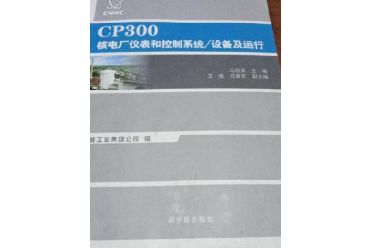 CPA300核電廠BOP系統/設備及運行