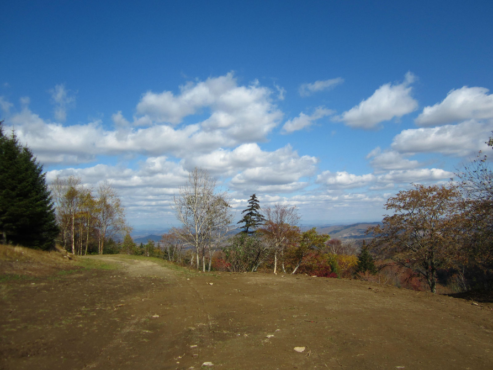 白石山國家森林公園(吉林白石山國家森林公園)