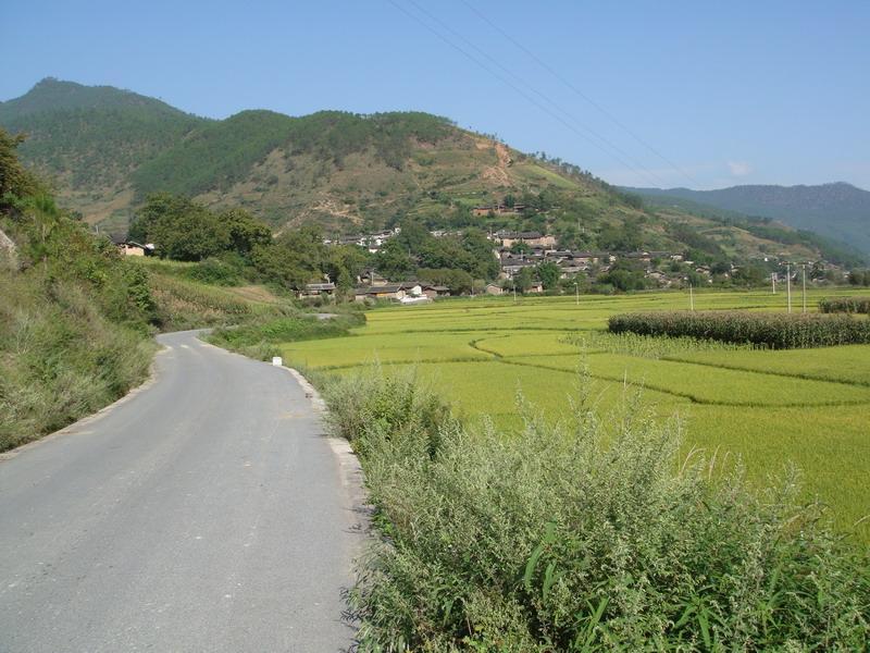 德樂村(玉龍納西族自治縣巨甸鎮德良村委會德樂村)