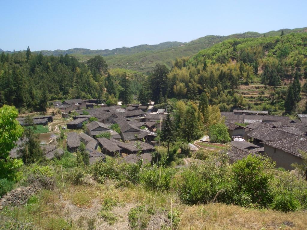 半路村(雲南楚雄市大地基鄉下轄村)