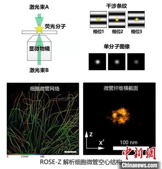 2021年度中國生命科學十大進展