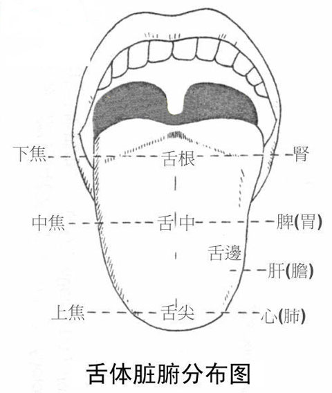 黃苔舌