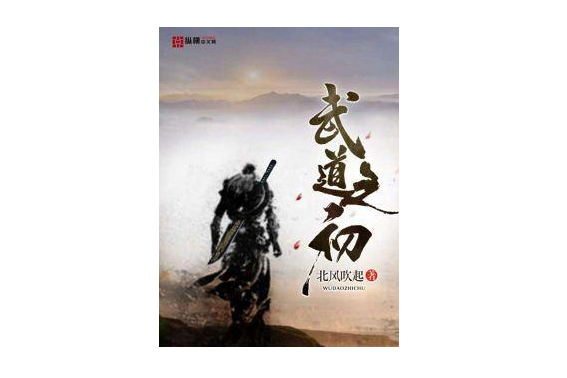 武道之初(北風吹起著網路小說)