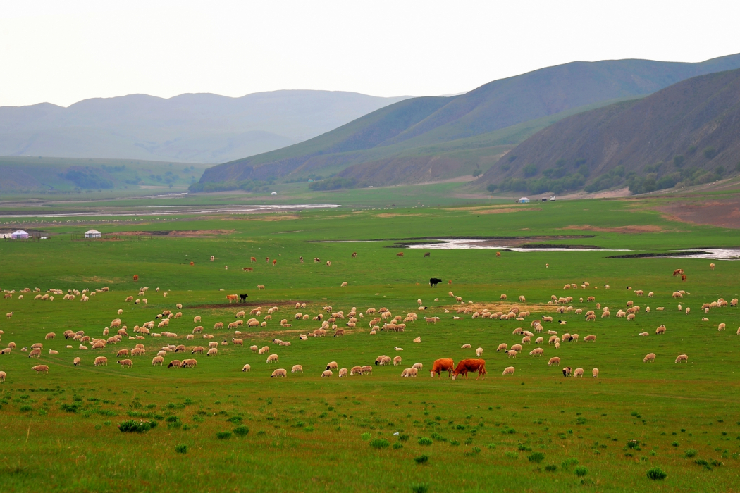 內蒙古寶日花國家草原自然公園